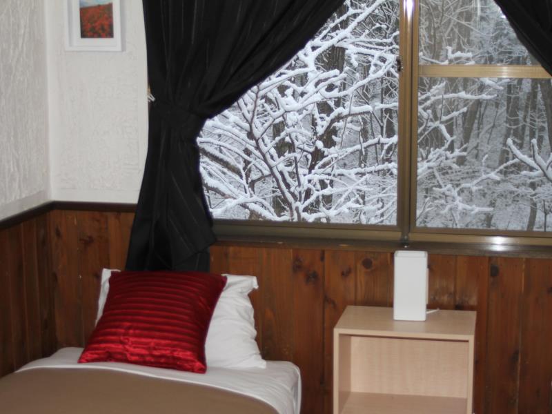 Alpine Lodge هاكوبا المظهر الخارجي الصورة